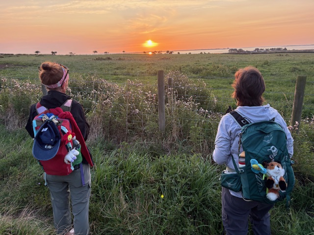 sunrise on the way to Holy Island